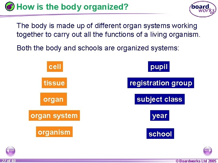How is the body organized? The body is made up of different organ systems