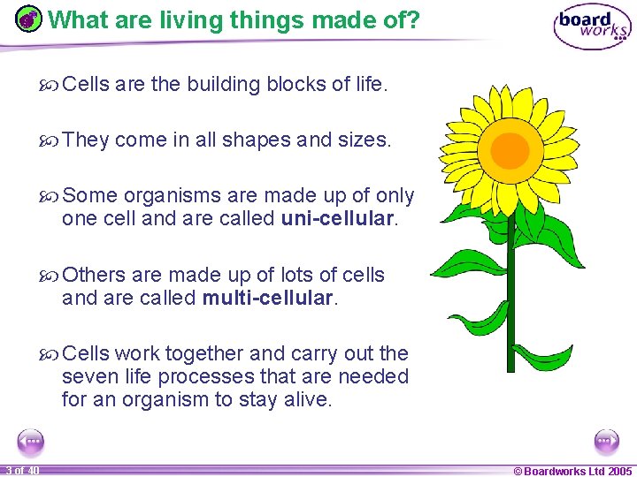 What are living things made of? Cells are the building blocks of life. They