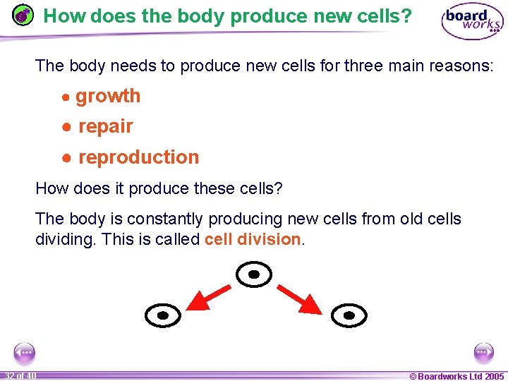 How does the body produce new cells? The body needs to produce new cells