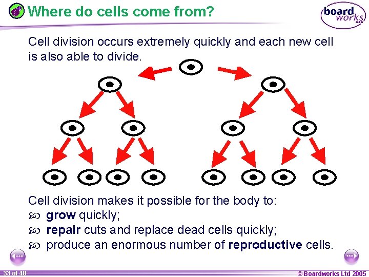 Where do cells come from? Cell division occurs extremely quickly and each new cell