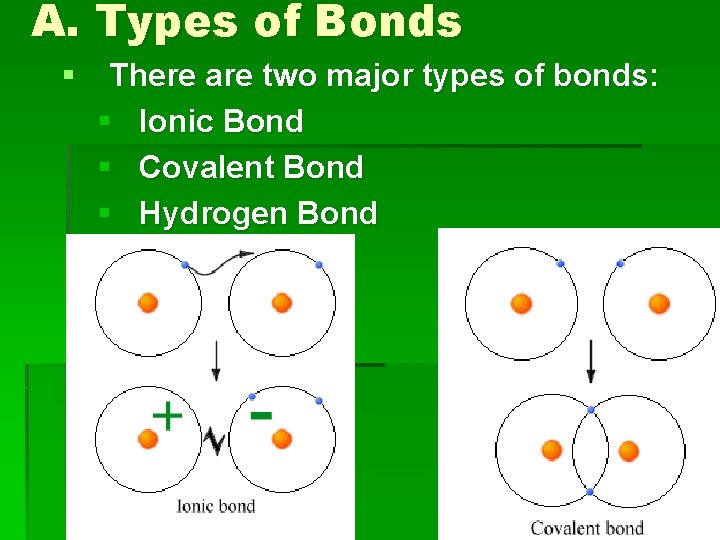 A. Types of Bonds § There are two major types of bonds: § Ionic