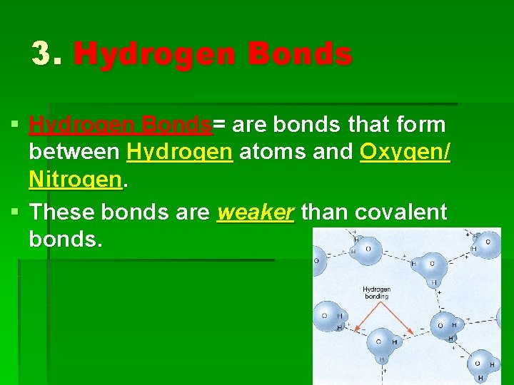 3. Hydrogen Bonds § Hydrogen Bonds= are bonds that form between Hydrogen atoms and