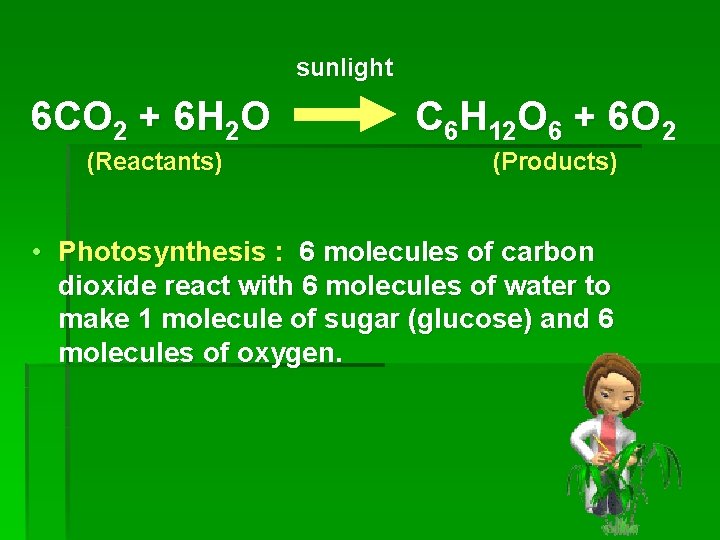 sunlight 6 CO 2 + 6 H 2 O (Reactants) C 6 H 12