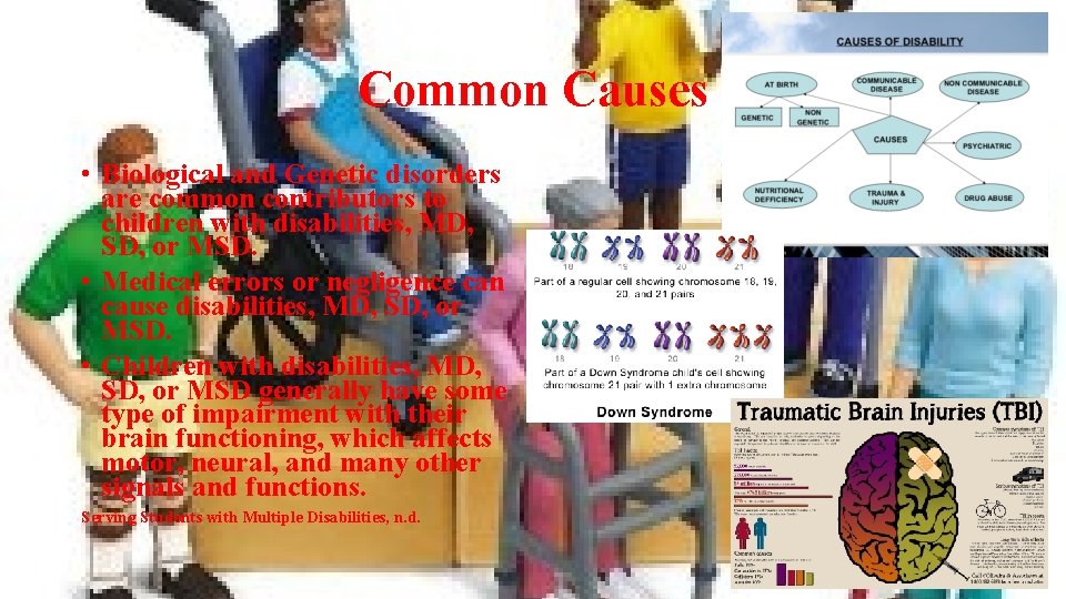 Common Causes • Biological and Genetic disorders are common contributors to children with disabilities,