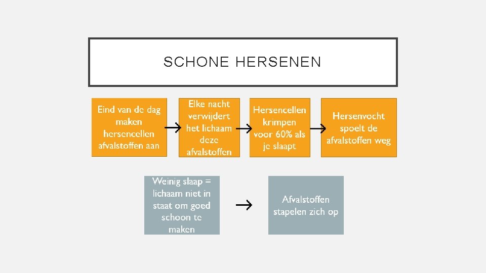 SCHONE HERSENEN Welke twee dingen worden ontwikkeld tijdens de slaap? • Hersenen en groei