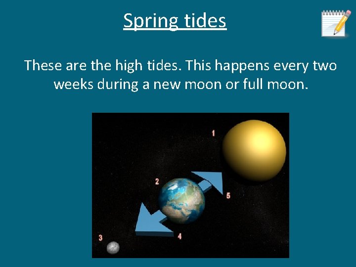 Spring tides These are the high tides. This happens every two weeks during a