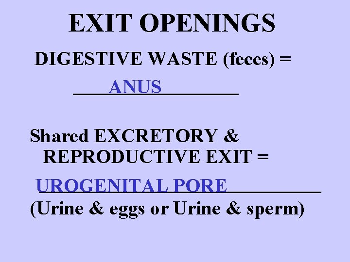 EXIT OPENINGS DIGESTIVE WASTE (feces) = _________ ANUS Shared EXCRETORY & REPRODUCTIVE EXIT =