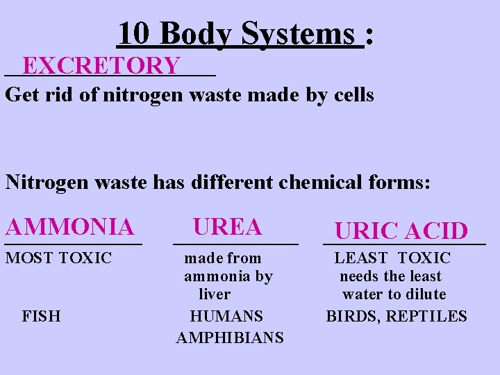 10 Body Systems : __________ EXCRETORY Get rid of nitrogen waste made by cells