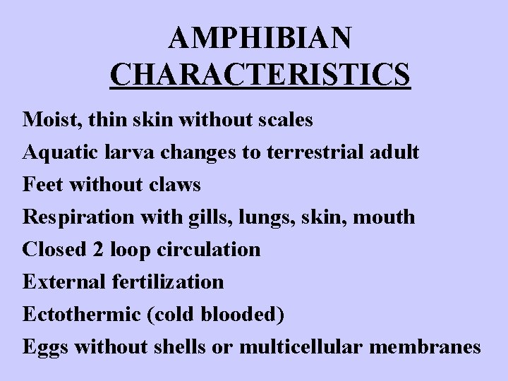 AMPHIBIAN CHARACTERISTICS Moist, thin skin without scales Aquatic larva changes to terrestrial adult Feet