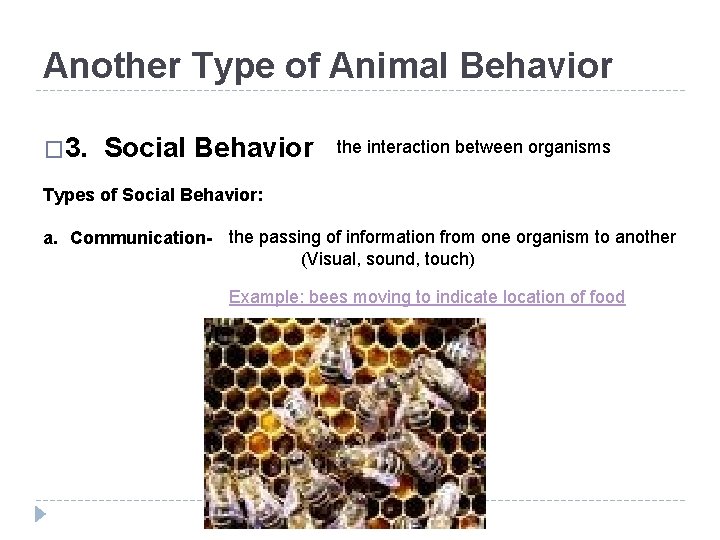 Another Type of Animal Behavior � 3. Social Behavior the interaction between organisms Types