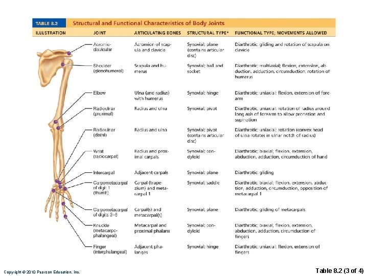 Copyright © 2010 Pearson Education, Inc. Table 8. 2 (3 of 4) 