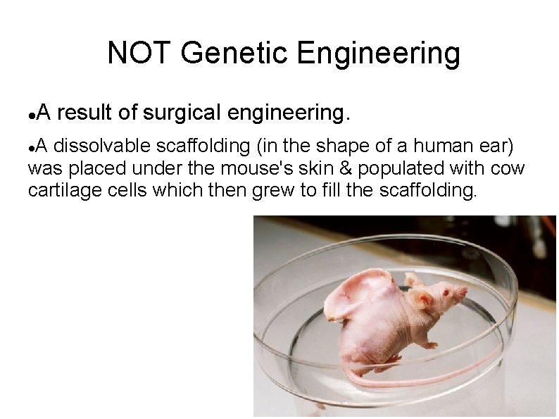 NOT Genetic Engineering A result of surgical engineering. A dissolvable scaffolding (in the shape
