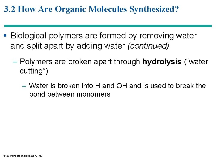 3. 2 How Are Organic Molecules Synthesized? § Biological polymers are formed by removing