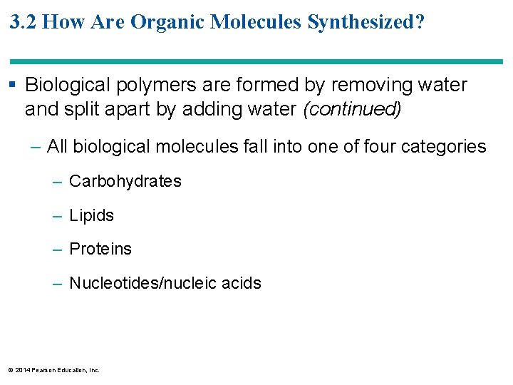 3. 2 How Are Organic Molecules Synthesized? § Biological polymers are formed by removing