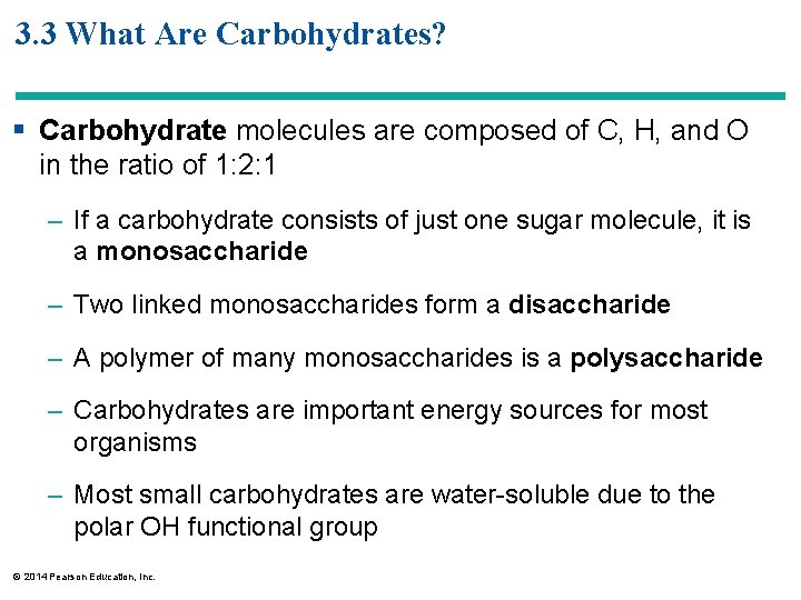 3. 3 What Are Carbohydrates? § Carbohydrate molecules are composed of C, H, and