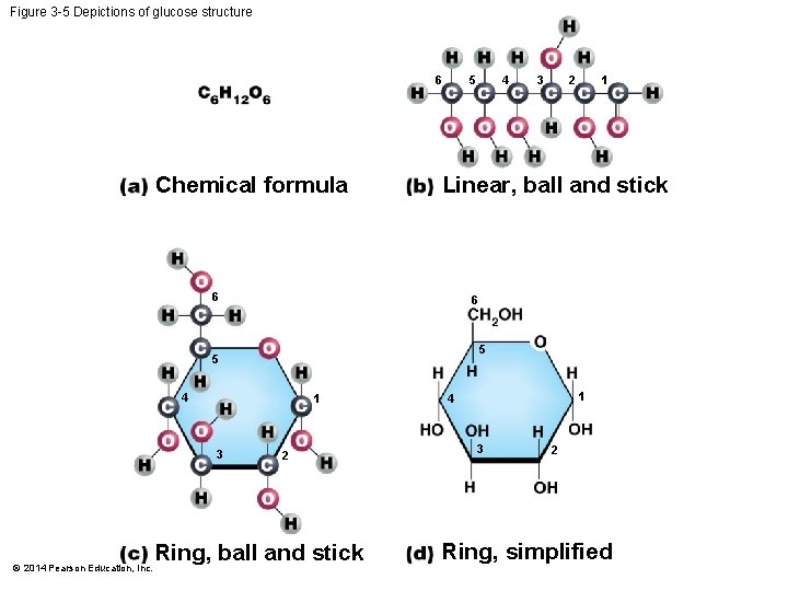 Figure 3 -5 Depictions of glucose structure 5 6 Chemical formula 1 2 6