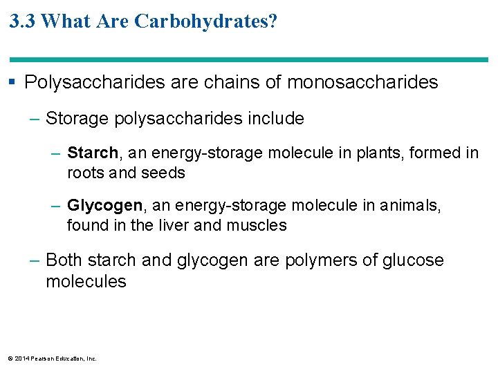 3. 3 What Are Carbohydrates? § Polysaccharides are chains of monosaccharides – Storage polysaccharides