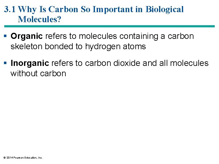 3. 1 Why Is Carbon So Important in Biological Molecules? § Organic refers to