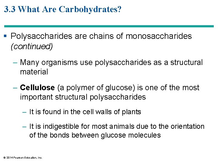 3. 3 What Are Carbohydrates? § Polysaccharides are chains of monosaccharides (continued) – Many