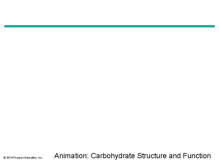 © 2014 Pearson Education, Inc. Animation: Carbohydrate Structure and Function 