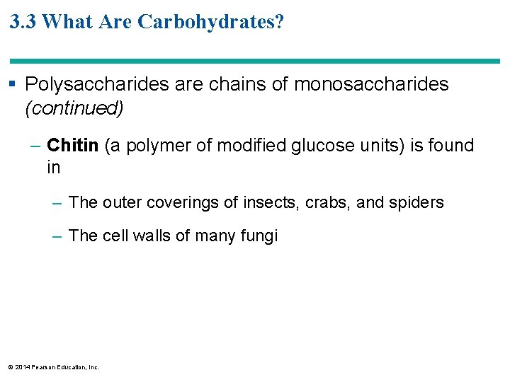 3. 3 What Are Carbohydrates? § Polysaccharides are chains of monosaccharides (continued) – Chitin