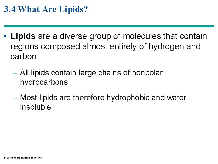 3. 4 What Are Lipids? § Lipids are a diverse group of molecules that