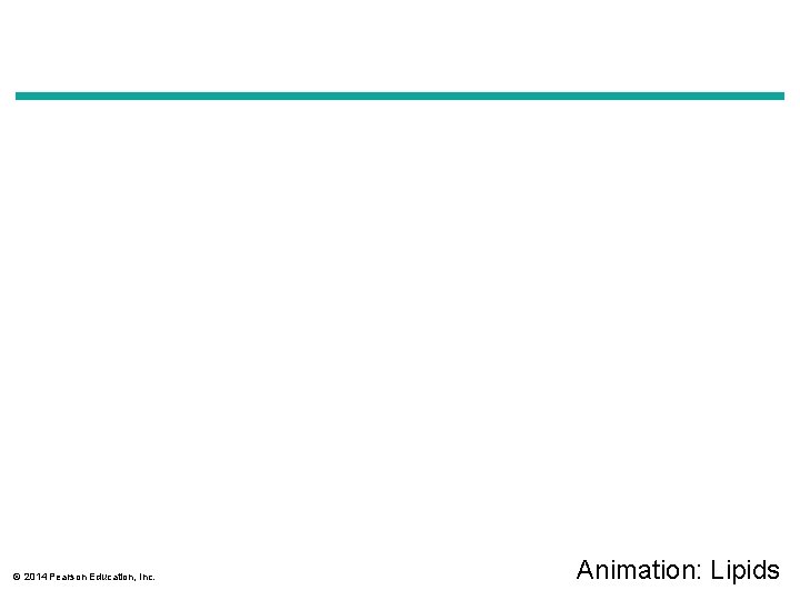 © 2014 Pearson Education, Inc. Animation: Lipids 