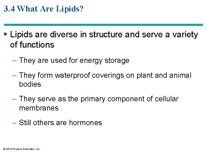 3. 4 What Are Lipids? § Lipids are diverse in structure and serve a