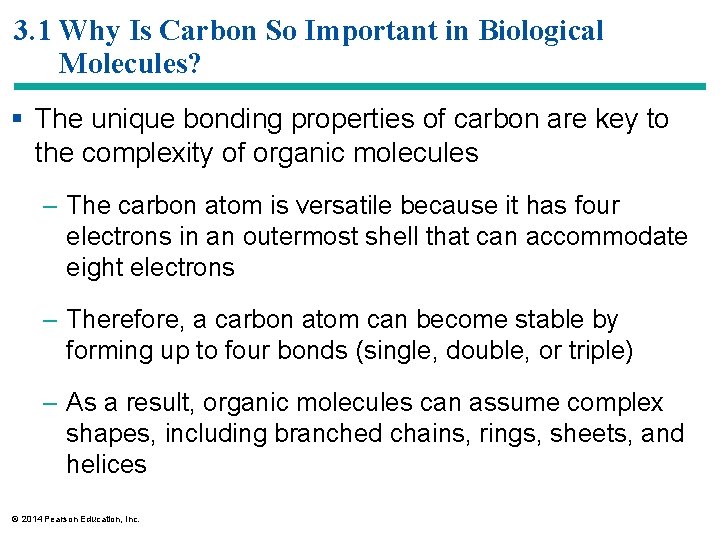 3. 1 Why Is Carbon So Important in Biological Molecules? § The unique bonding