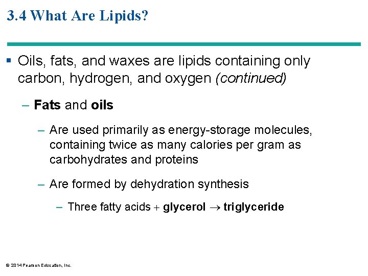 3. 4 What Are Lipids? § Oils, fats, and waxes are lipids containing only