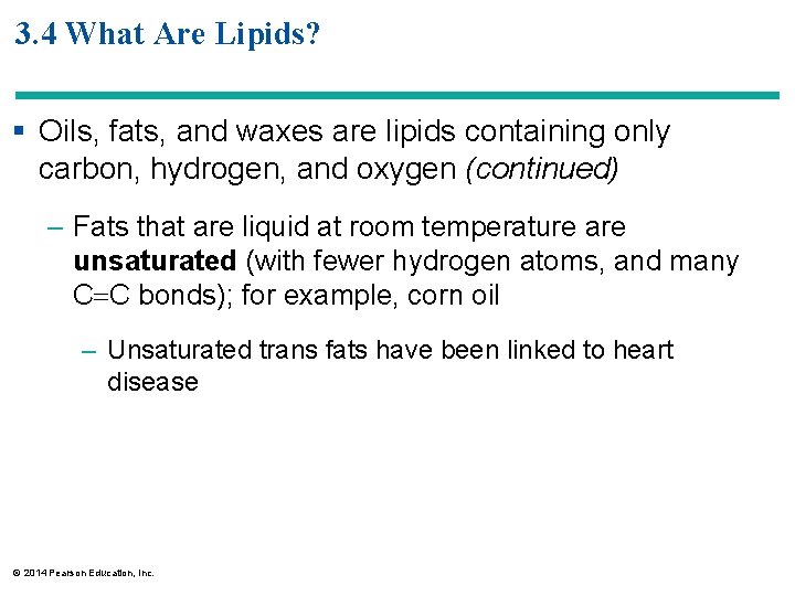 3. 4 What Are Lipids? § Oils, fats, and waxes are lipids containing only