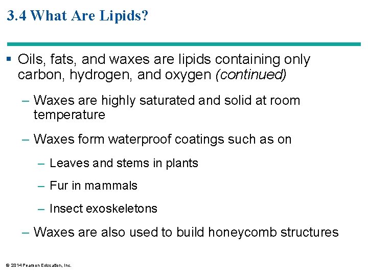 3. 4 What Are Lipids? § Oils, fats, and waxes are lipids containing only