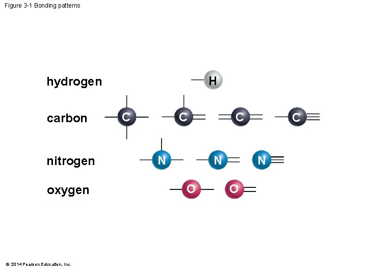 Figure 3 -1 Bonding patterns H hydrogen carbon nitrogen oxygen © 2014 Pearson Education,