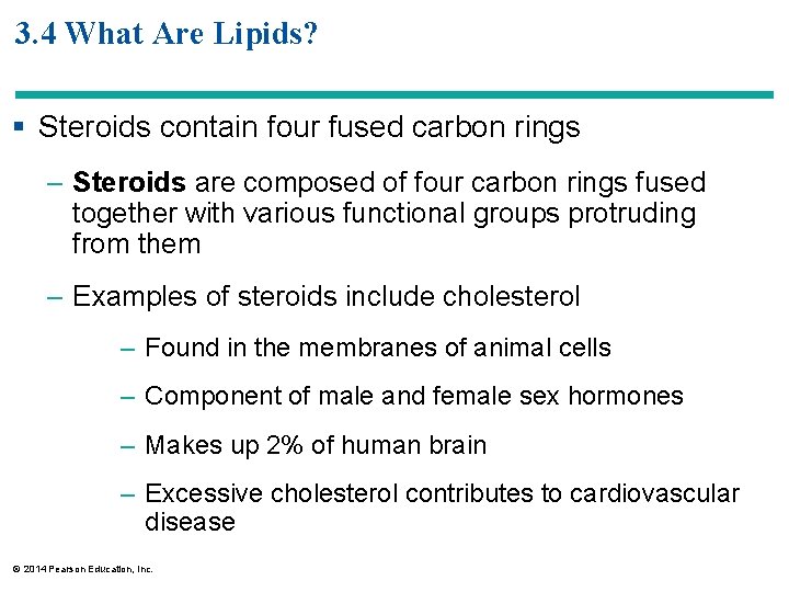 3. 4 What Are Lipids? § Steroids contain four fused carbon rings – Steroids