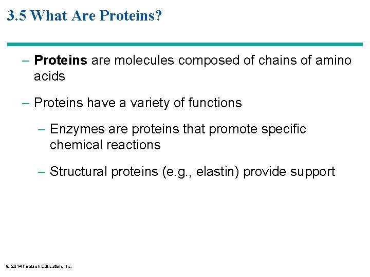 3. 5 What Are Proteins? – Proteins are molecules composed of chains of amino