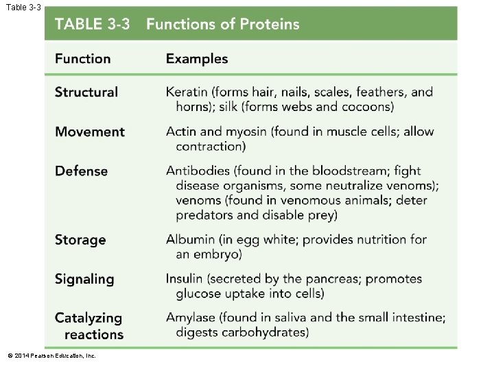 Table 3 -3 © 2014 Pearson Education, Inc. 