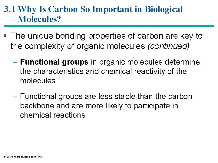 3. 1 Why Is Carbon So Important in Biological Molecules? § The unique bonding