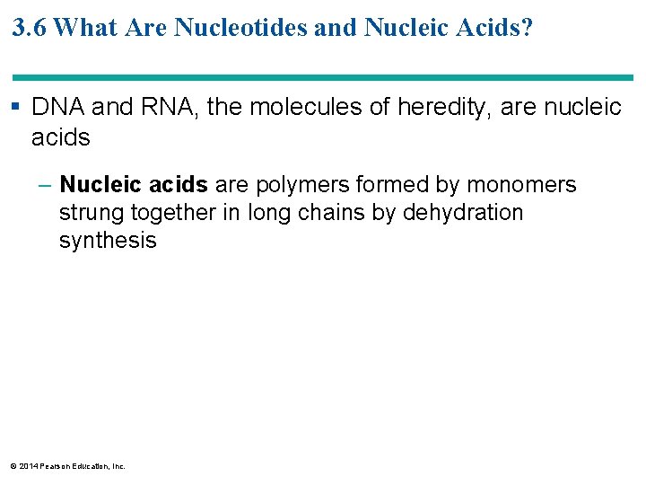 3. 6 What Are Nucleotides and Nucleic Acids? § DNA and RNA, the molecules