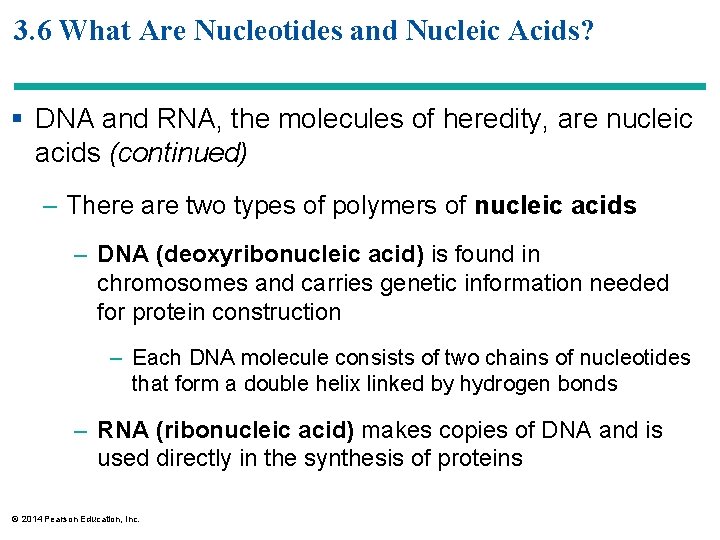 3. 6 What Are Nucleotides and Nucleic Acids? § DNA and RNA, the molecules