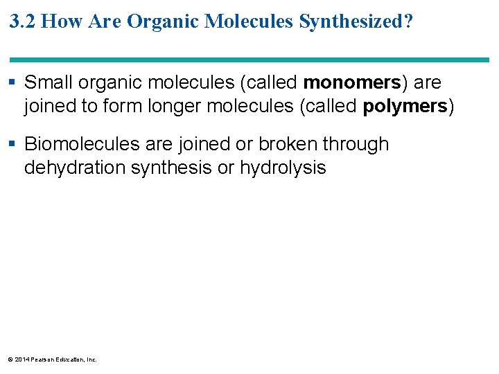 3. 2 How Are Organic Molecules Synthesized? § Small organic molecules (called monomers) are