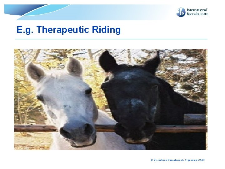 E. g. Therapeutic Riding © International Baccalaureate Organization 2007 E. g. Therapeutic Riding © International Baccalaureate Organization 2007