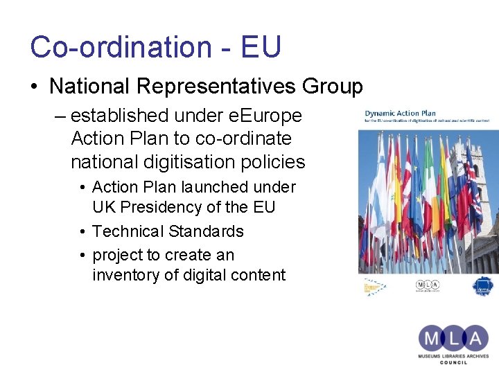 Co-ordination - EU • National Representatives Group – established under e. Europe Action Plan