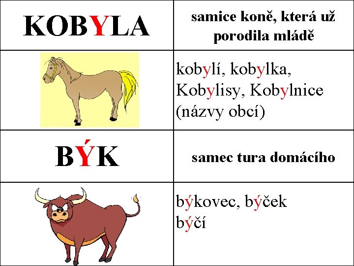 KOBYLA samice koně, která už porodila mládě kobylí, kobylka, Kobylisy, Kobylnice (názvy obcí) BÝK