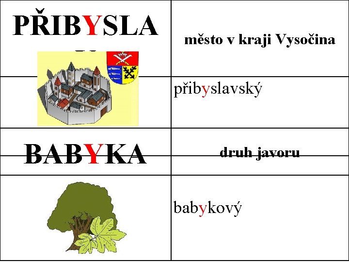 PŘIBYSLA V město v kraji Vysočina přibyslavský BABYKA druh javoru babykový 