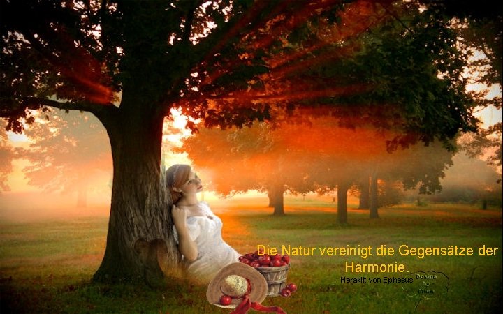 Die Natur vereinigt die Gegensätze der Harmonie. Heraklit von Ephesus 
