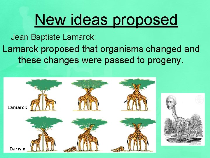 New ideas proposed Jean Baptiste Lamarck: Lamarck proposed that organisms changed and these changes