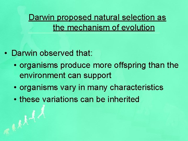 Darwin proposed natural selection as the mechanism of evolution • Darwin observed that: •