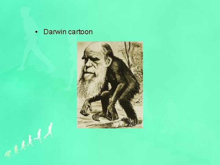  • Darwin cartoon 