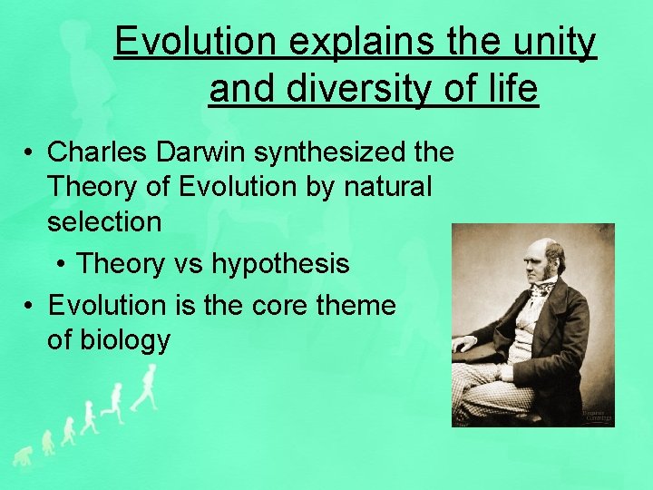 Evolution explains the unity and diversity of life • Charles Darwin synthesized the Theory