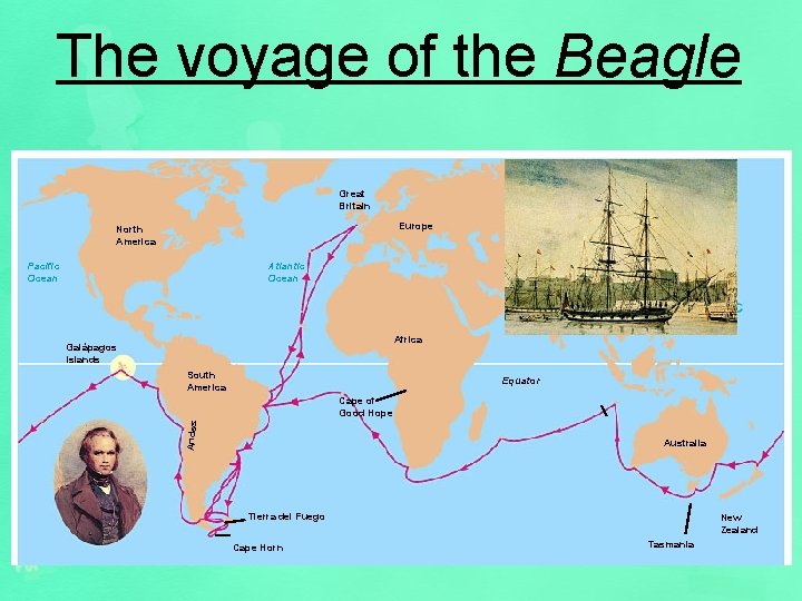 The voyage of the Beagle Great Britain Europe North America Pacific Ocean Atlantic Ocean